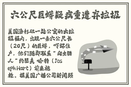 BBw少妇BBw撒尿